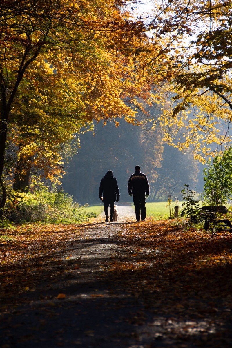 wandelen bos