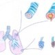 hoe kan fysiotherapie bij COPD helpen?