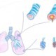 Wat doet fysiotherapie bij COPD? Hoe ziet therapie bij COPD eruit?