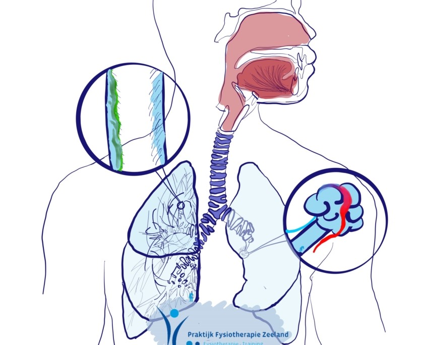 Hart vaat longfysiotherapie